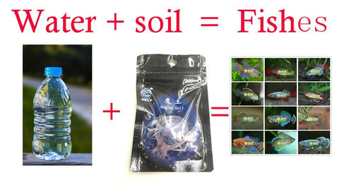 Water+Soil=Fish