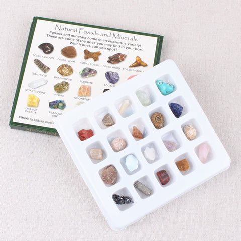 20pcs/Box Mineral and Rock Samples Educational Geology Science Rocks sample Collection Kit children kids gifts Study room decor